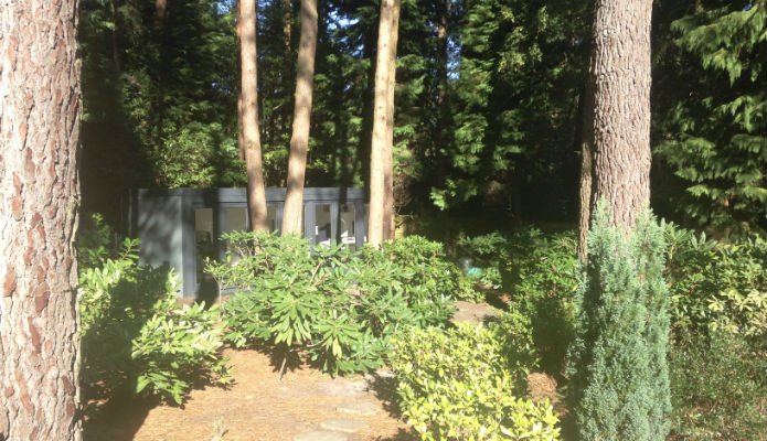 garden office which is 16' x 8' and installed in a forest